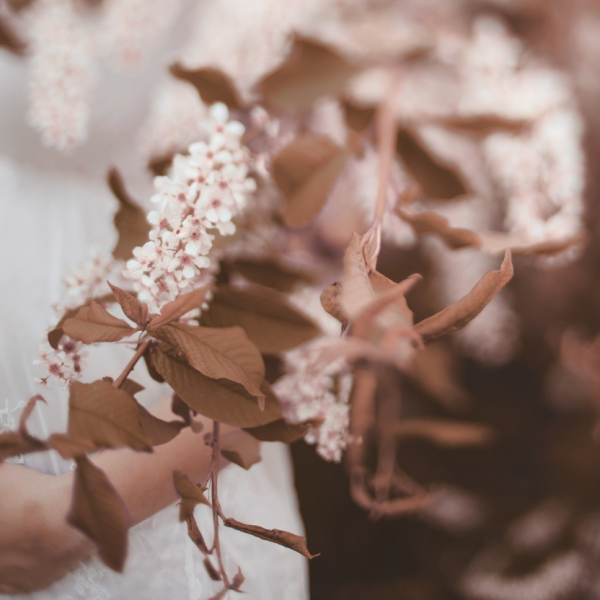 individuelle GeburtsvobBlessingway Ritual Dettenheim transpersonale Psychologie Frauenkreise Amaya Wenz