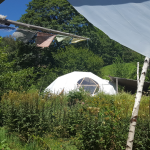 intensivtage Amaya Wenz transpersonale Psychologie, Holotropes Atmen, systemische Paar- und Familienberatung, systemisches Coaching, spirituelle Wegbegleitung, Dettenheim