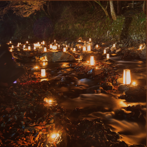 Amaya Wenz Holotropes Atmen Karlsruhe Transpersonale Psychologie Sytemische Beratung Know your Roots