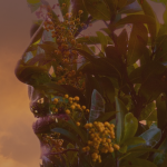 Amaya Wenz Holotropes Atmen Karlsruhe Transpersonale Psychologie Sytemische Beratung