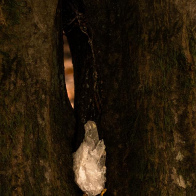 Samen der Vision Tagesseminar